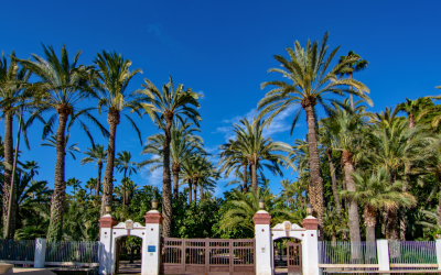Elche Dismantle Bike Lanes