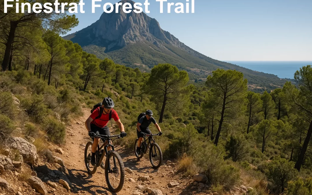 Mountain Biking Trails in Costa Blanca – Finestrat Forest Trail