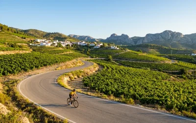 May in the Marina Alta: Perfect Temps and Blooming Landscapes